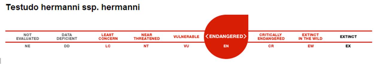 Life_tortue_hermann_106_uicn_redlist_Thh_endangered.jpg
