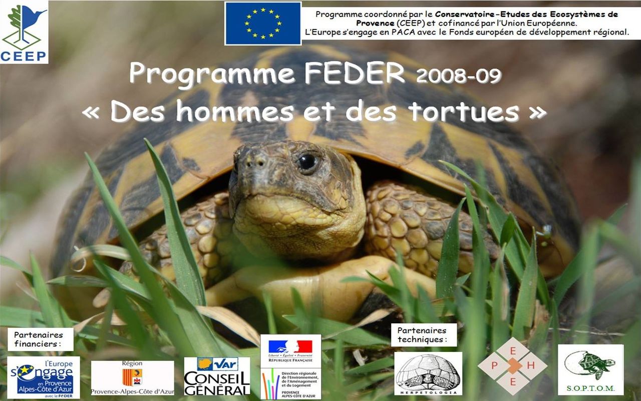 Life_tortue_hermann_113_programme_FEDER.jpg