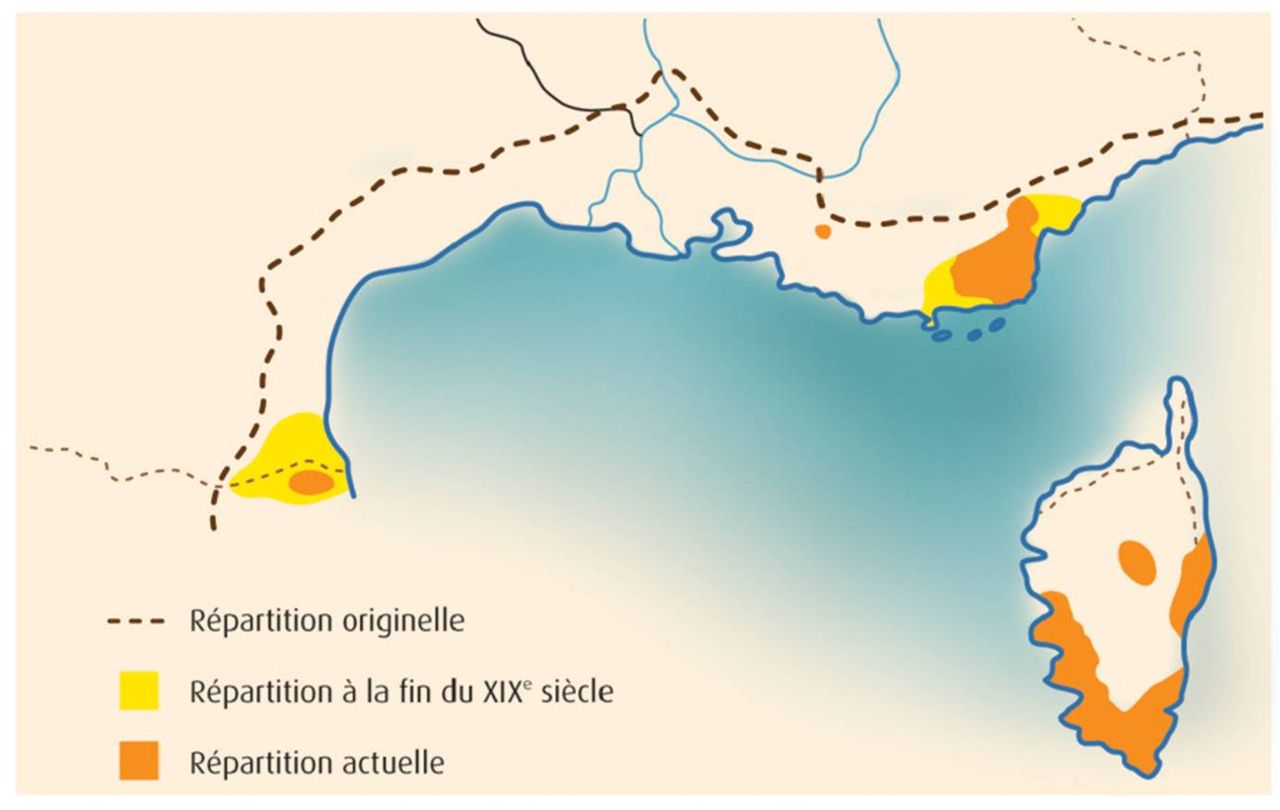 Life_tortue_hermann_79_Repartition_france.jpg