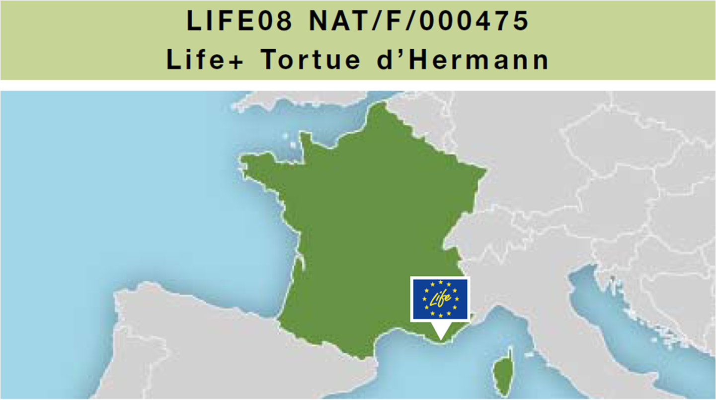 Life_tortue_hermann_119_Life_montage.png