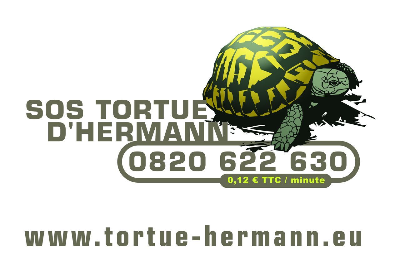 Life_tortue_hermann_154_SOS_Tortue_hermann.jpg