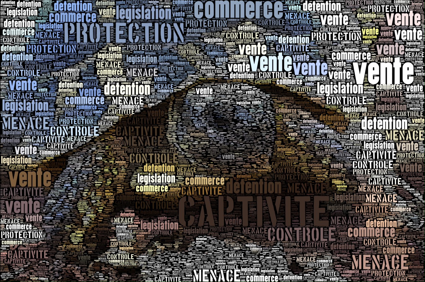 wordfoto_reglementation.jpg