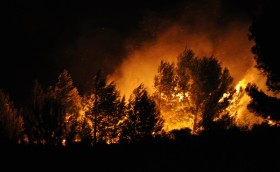 Population destruction by forest fires