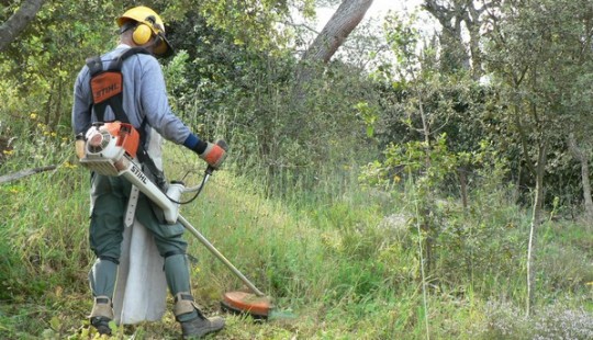 The right things to preserve Hermann’s tortoises in the wild!